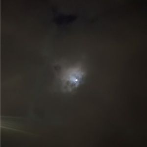 Meet your Posher, Jalen